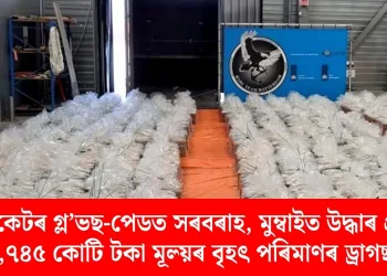 ক্ৰিকেটৰ গ্ল’ভছ-পেডত সৰবৰাহ, মুম্বাইত উদ্ধাৰ প্ৰায় ১,৭৪৫ কোটি টকা মূল্য়ৰ বৃহৎ পৰিমাণৰ ড্ৰাগছ!
