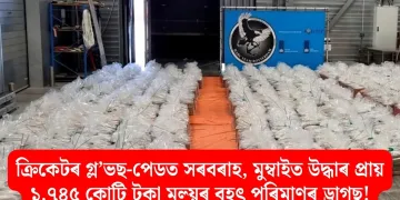 ক্ৰিকেটৰ গ্ল’ভছ-পেডত সৰবৰাহ, মুম্বাইত উদ্ধাৰ প্ৰায় ১,৭৪৫ কোটি টকা মূল্য়ৰ বৃহৎ পৰিমাণৰ ড্ৰাগছ!