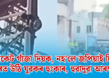 “এপেকেট গাঁজা দিয়ক, নহ’লে জপিয়াই দিম!” টাৱাৰত উঠি যুৱকৰ হুংকাৰ, হুৱাদুৱা আৰক্ষীৰ 