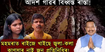 বিধায়ক আৰু পঞ্চায়তৰ প্ৰতিশ্ৰুতি সাৰ, নাফুক আদৰ্শ গাঁৱৰ বিধ্বস্ত পথে কন্দুৱাইছে ৰাইজক