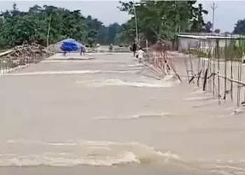 বাৰিষাৰ প্ৰথমটো বানৰ সংহাৰ : ২০ হাজাৰৰো অধিক লোক আক্ৰান্ত, ৰাজ্যত হাই এলাৰ্ট জাৰি