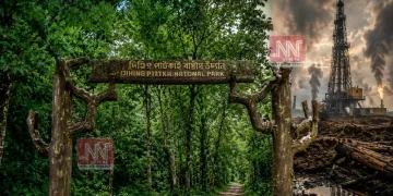 ধ্বংসৰ গৰাহত ‘পূবৰ আমাজন’! দিহিং পাটকাইত অইলক খননৰ অনুমতি