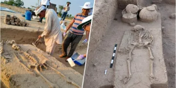 পোহৰলৈ আহিল হৰপ্পা সভ্যতাৰ ন ন তথ্য : খনন কাৰ্যত উদ্ধাৰ প্ৰাচীন কংকাল আৰু মাটিৰ পাত্ৰ