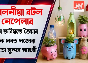 পেলনীয়া বটল নেপেলাব, ইয়াৰ জৰিয়তে তৈয়াৰ কৰক ঘৰত সজোৱা বহুতো সুন্দৰ সামগ্ৰী