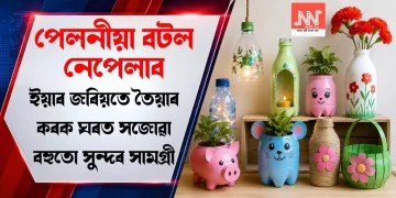 পেলনীয়া বটল নেপেলাব, ইয়াৰ জৰিয়তে তৈয়াৰ কৰক ঘৰত সজোৱা বহুতো সুন্দৰ সামগ্ৰী