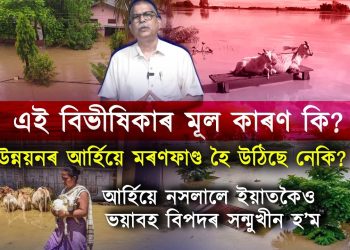 উন্নয়নৰ নামত হাবি-বন, খাল-বিল, নৈ পুতি পেলালে পানী ক’লৈ যাব?