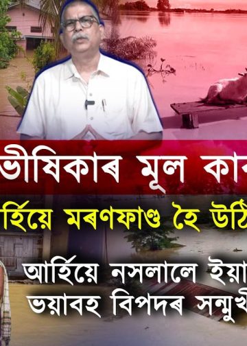 উন্নয়নৰ নামত হাবি-বন, খাল-বিল, নৈ পুতি পেলালে পানী ক’লৈ যাব?