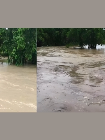 লখিমপুৰত শিঙৰা নদীৰ বাঢ়নি পানীয়ে মথাউৰি ভাঙি বুৰাই পেলালে কেইবাখনো গাঁও