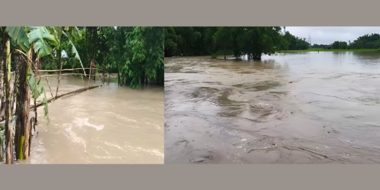 লখিমপুৰত শিঙৰা নদীৰ বাঢ়নি পানীয়ে মথাউৰি ভাঙি বুৰাই পেলালে কেইবাখনো গাঁও