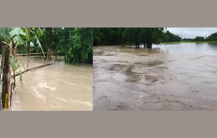 লখিমপুৰত শিঙৰা নদীৰ বাঢ়নি পানীয়ে মথাউৰি ভাঙি বুৰাই পেলালে কেইবাখনো গাঁও
