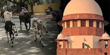 তামিলনাডুত গো-বধৰ ওপৰত মাদ্ৰাজ উচ্চ ন্যায়ালয়ৰ নিষেধাজ্ঞা স্থগিত কৰিলে উচ্চতম ন্যায়ালয়ে