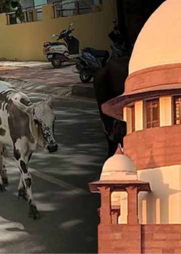 তামিলনাডুত গো-বধৰ ওপৰত মাদ্ৰাজ উচ্চ ন্যায়ালয়ৰ নিষেধাজ্ঞা স্থগিত কৰিলে উচ্চতম ন্যায়ালয়ে