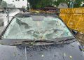 ভাঙি পৰিল সচিবালয়ৰ সন্মুখৰ গছৰ ডাল: কথমপি প্ৰাণ ৰক্ষা সাংবাদিক মহেশ ডেকাৰ, বিস্তৰ ক্ষতিসাধন বাহনৰ
