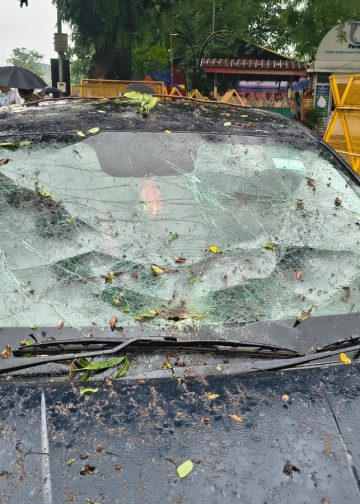 ভাঙি পৰিল সচিবালয়ৰ সন্মুখৰ গছৰ ডাল: কথমপি প্ৰাণ ৰক্ষা সাংবাদিক মহেশ ডেকাৰ, বিস্তৰ ক্ষতিসাধন বাহনৰ      