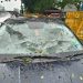 ভাঙি পৰিল সচিবালয়ৰ সন্মুখৰ গছৰ ডাল: কথমপি প্ৰাণ ৰক্ষা সাংবাদিক মহেশ ডেকাৰ, বিস্তৰ ক্ষতিসাধন বাহনৰ      