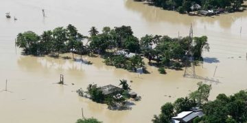 বানৰ বিভীষিকাৰ মাজত কেনেদৰে সুৰক্ষিত ৰাখিব নিজকে আৰু পৰিয়ালক?