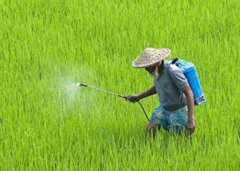 মাৰাত্মক কৃষি ৰাসায়নিক ‘পৰাকুৱাট’ দেশত সম্পূৰ্ণ নিষিদ্ধ, সুৰক্ষিত হ’ব কৃষক আৰু শস্য পথাৰ