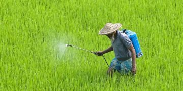 মাৰাত্মক কৃষি ৰাসায়নিক ‘পৰাকুৱাট’ দেশত সম্পূৰ্ণ নিষিদ্ধ, সুৰক্ষিত হ’ব কৃষক আৰু শস্য পথাৰ