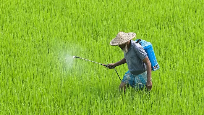 মাৰাত্মক কৃষি ৰাসায়নিক ‘পৰাকুৱাট’ দেশত সম্পূৰ্ণ নিষিদ্ধ, সুৰক্ষিত হ’ব কৃষক আৰু শস্য পথাৰ