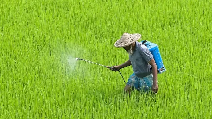 মাৰাত্মক কৃষি ৰাসায়নিক ‘পৰাকুৱাট’ দেশত সম্পূৰ্ণ নিষিদ্ধ, সুৰক্ষিত হ’ব কৃষক আৰু শস্য পথাৰ