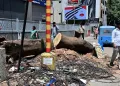 বেংগালুৰুত প্ৰকৃতিৰ ওপৰত কুঠাৰাঘাত! ২০২৩ চনৰ পৰা এতিয়ালৈকে কটা গ’ল ১৯ সহস্ৰাধিক গছ