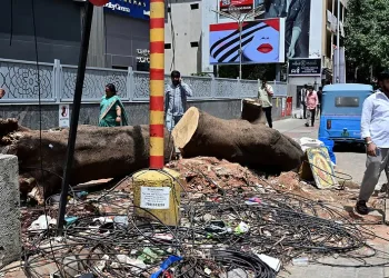 বেংগালুৰুত প্ৰকৃতিৰ ওপৰত কুঠাৰাঘাত! ২০২৩ চনৰ পৰা এতিয়ালৈকে কটা গ’ল ১৯ সহস্ৰাধিক গছ