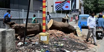 বেংগালুৰুত প্ৰকৃতিৰ ওপৰত কুঠাৰাঘাত! ২০২৩ চনৰ পৰা এতিয়ালৈকে কটা গ’ল ১৯ সহস্ৰাধিক গছ