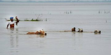 উজনিৰ বান পৰিস্থিতিক লৈ চৰকাৰক তীব্ৰ সমালোচনা অসম নাগৰিক সন্মিলনৰ; সমৰ-সদৃশ তৎপৰতাৰে উদ্ধাৰ অভিযান চলোৱাৰ দাবী
