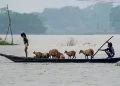 উজনিত বানৰ ভয়াবহ ৰূপ : ২৪ ঘণ্টাত ২১ জনৰ মৃত্যু, ৫ লাখতকৈ অধিক লোক আক্ৰান্ত