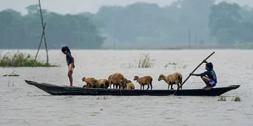 উজনিত বানৰ ভয়াবহ ৰূপ : ২৪ ঘণ্টাত ২১ জনৰ মৃত্যু, ৫ লাখতকৈ অধিক লোক আক্ৰান্ত