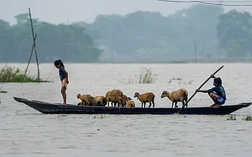 উজনিত বানৰ ভয়াবহ ৰূপ : ২৪ ঘণ্টাত ২১ জনৰ মৃত্যু, ৫ লাখতকৈ অধিক লোক আক্ৰান্ত