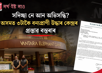 সদিচ্ছা নে আন অভিসন্ধি? অসমত ৩টাকৈ বন্যপ্ৰাণী উদ্ধাৰ কেন্দ্ৰৰ প্ৰস্তাৱ বন্তৰাৰ