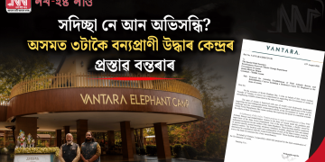 সদিচ্ছা নে আন অভিসন্ধি? অসমত ৩টাকৈ বন্যপ্ৰাণী উদ্ধাৰ কেন্দ্ৰৰ প্ৰস্তাৱ বন্তৰাৰ