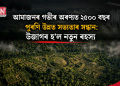 আমাজনৰ গভীৰ অৰণ্যত ২৫০০ বছৰ পুৰণি উন্নত সভ্যতাৰ সন্ধান: উজাগৰ হ’ল নতুন ৰহস্য