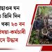 ডিমা হাছাওৰ ঘন অৰণ্যত তিনি দিন আবদ্ধ হৈ থকা ২৩ বন বিভাগৰ বিষয়া-কৰ্মচাৰী নিৰাপদে উদ্ধাৰ
