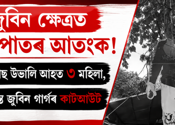 জুবিন ক্ষেত্ৰত বজ্ৰপাতৰ আতংক! নাহৰ গছ উভালি আহত ৩ মহিলা, ক্ষতিগ্ৰস্ত জুবিন গাৰ্গৰ কাটআউট