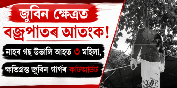 জুবিন ক্ষেত্ৰত বজ্ৰপাতৰ আতংক! নাহৰ গছ উভালি আহত ৩ মহিলা, ক্ষতিগ্ৰস্ত জুবিন গাৰ্গৰ কাটআউট