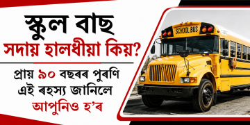 স্কুল বাছ সদায় হালধীয়া কিয়? প্ৰায় ৯০ বছৰৰ পুৰণি এই ৰহস্য জানিলে আপুনিও হ’ব