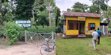 মনোময় চাহ বাগিচাৰ দুখলগা স্বাস্থ্য ব্যৱস্থা! ‘কমিউনিটী হেল্থ অফিচাৰ’ অবিহনেই চলিছে আয়ুষ্মান আৰোগ্য মন্দিৰ
