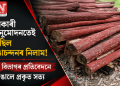 চৰকাৰী অনুমোদনতেই হৈছিল ৰঙাচন্দনৰ নিলাম! বন বিভাগৰ প্ৰতিবেদনে উদঙালে প্ৰকৃত সত্য