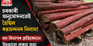 চৰকাৰী অনুমোদনতেই হৈছিল ৰঙাচন্দনৰ নিলাম! বন বিভাগৰ প্ৰতিবেদনে উদঙালে প্ৰকৃত সত্য
