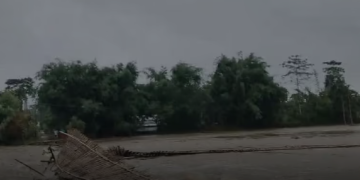 ধেমাজিত পুনৰ বানৰ তাণ্ডৱ: জিয়াধলৰ সোঁতত উটি গ’ল বাসগৃহ, কথমপি প্ৰাণৰক্ষা বৃদ্ধা মাতৃ আৰু অসুস্থ কন্যাৰ