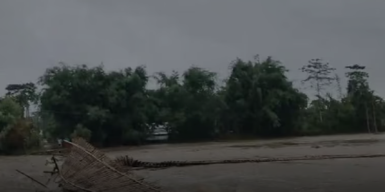 ধেমাজিত পুনৰ বানৰ তাণ্ডৱ: জিয়াধলৰ সোঁতত উটি গ’ল বাসগৃহ, কথমপি প্ৰাণৰক্ষা বৃদ্ধা মাতৃ আৰু অসুস্থ কন্যাৰ