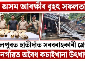 অসম আৰক্ষীৰ বৃহৎ সফলতা : তামুলপুৰত হাতীদাঁত সৰবৰাহকাৰী গ্ৰেপ্তাৰ, নগাঁৱত অবৈধ কচাইখানা উৎখাত