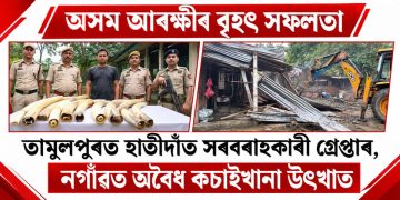 অসম আৰক্ষীৰ বৃহৎ সফলতা : তামুলপুৰত হাতীদাঁত সৰবৰাহকাৰী গ্ৰেপ্তাৰ, নগাঁৱত অবৈধ কচাইখানা উৎখাত