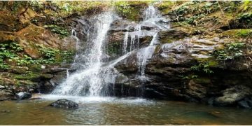 গুৱাহাটীৰ ওচৰতে প্ৰকৃতিৰ নিৰিবিলি পৰিৱেশন : যান্ত্ৰিক জীৱনৰ পৰা আঁতৰি বন্ধৰ দিন কটাবলৈ যাব পাৰে এইকেইটা স্থানলৈ
