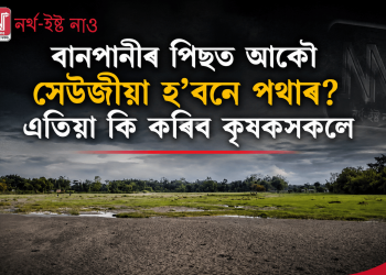 বানপানীৰ পিছত আকৌ সেউজীয়া হ’বনে পথাৰ? এতিয়া কি কৰিব কৃষকসকলেবানপানীৰ পিছত আকৌ সেউজীয়া হ’বনে পথাৰ? এতিয়া কি কৰিব কৃষকসকলে