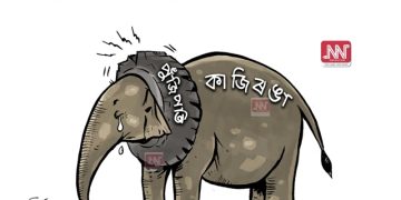 অঘৈয়া হুলঃ নিতুপৰ্ণ ৰাজবংশীৰ কাৰ্টুন