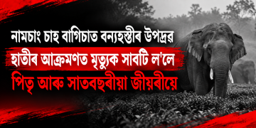 নামচাং চাহ বাগিচাত বন্যহস্তীৰ উপদ্ৰৱ : হাতীৰ আক্ৰমণত মৃত্যুক সাবটি ল’লে পিতৃ আৰু সাতবছৰীয়া জীয়ৰীয়ে