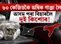 ৬০ কেজিতকৈ অধিক গাঞ্জা লৈ অসম পৰা বিহাৰলৈ দুই কিশোৰ!